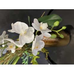 Kompozycja PREMIUM STORCZYKI BIAŁE 4x pędy w złotym wazonie LUX